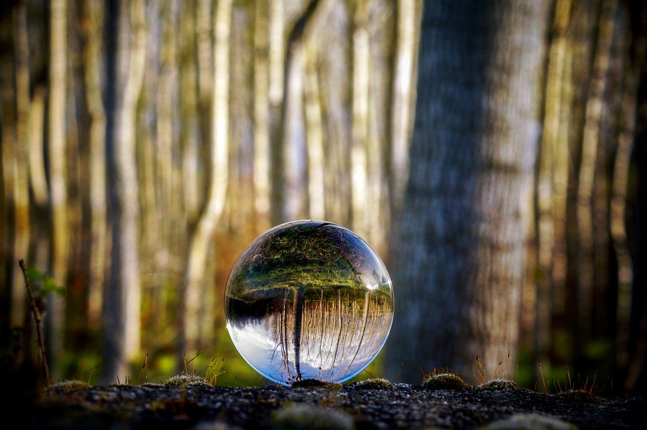 The Zen of Zen Gardens: Mindful Crafts for Kids